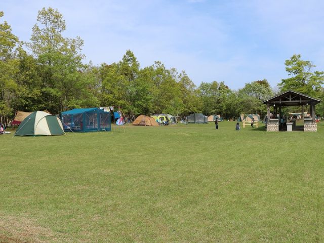 茨城　キャンプ場　涸沼自然公園