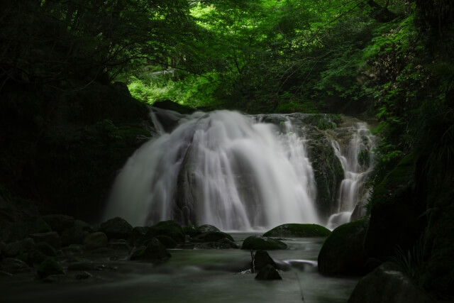 小滝沢キャンプ場　川遊び　夏