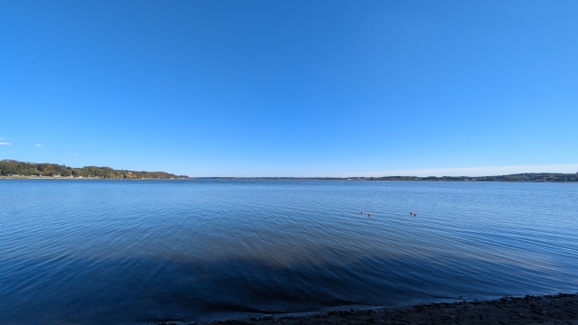 広浦公園キャンプ場　涸沼　キャンプ　フリーサイト